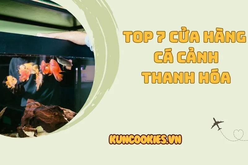 Cá Cảnh Thanh Hóa: Top Các Cửa Hàng Uy Tín Nhất Thành Phố 2025