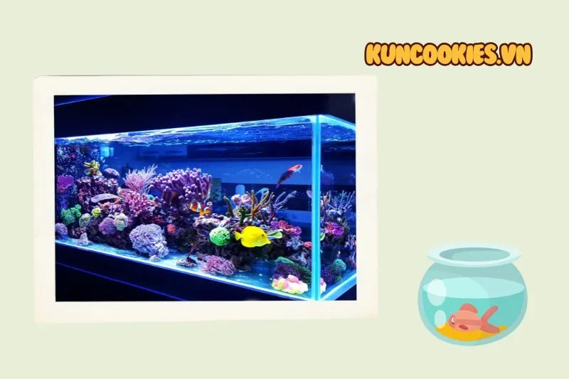 Cá Cảnh Tuấn Cường