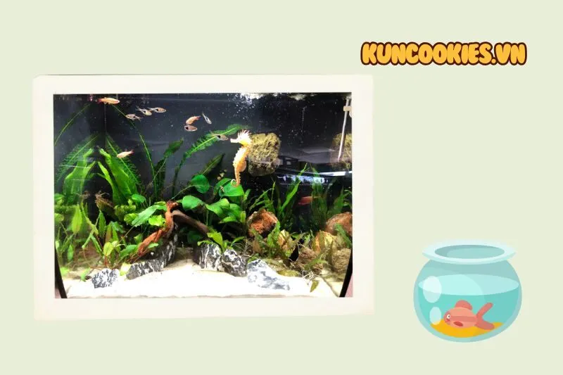 Cửa Hàng Cá Cảnh Tây Hồ Thọ Xuân