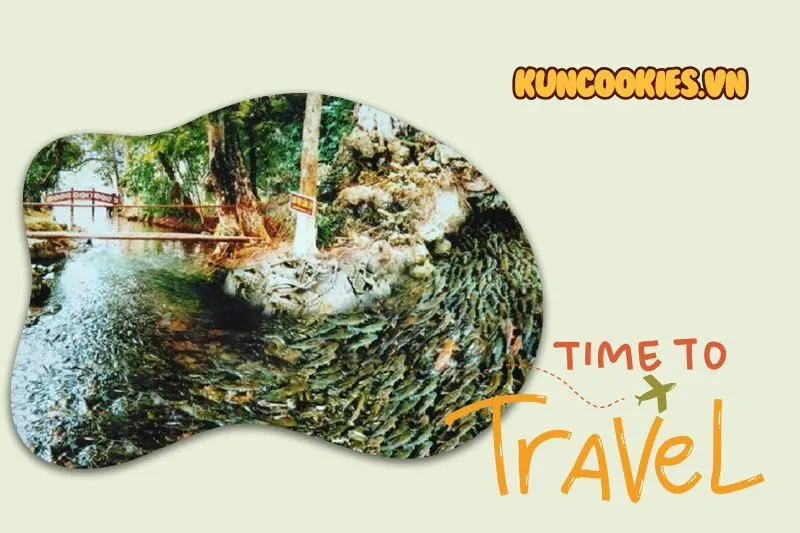 Suối Cá Thần Cẩm Lương