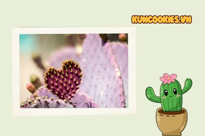 Cây Xinh Thanh Hóa