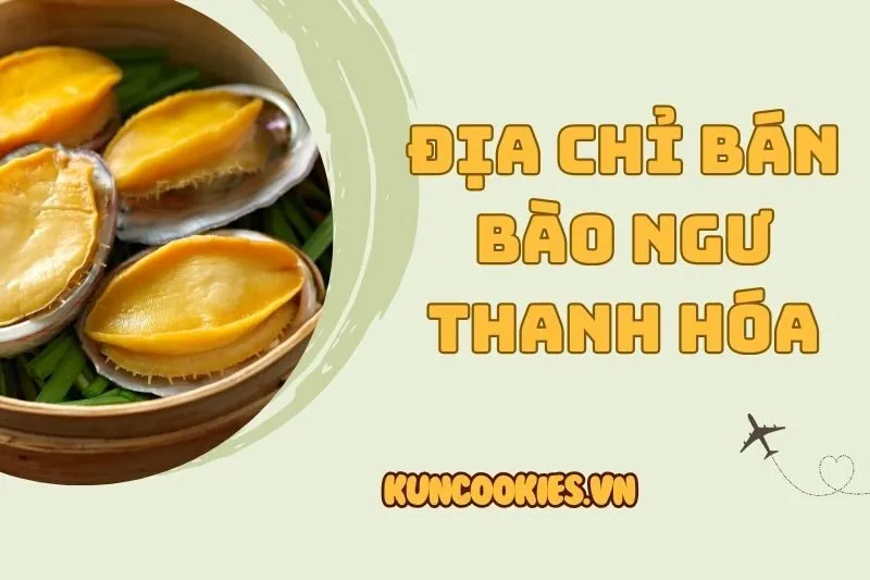 Địa chỉ bán bào ngư Thanh Hóa 2025 – Top 8 địa điểm uy tín