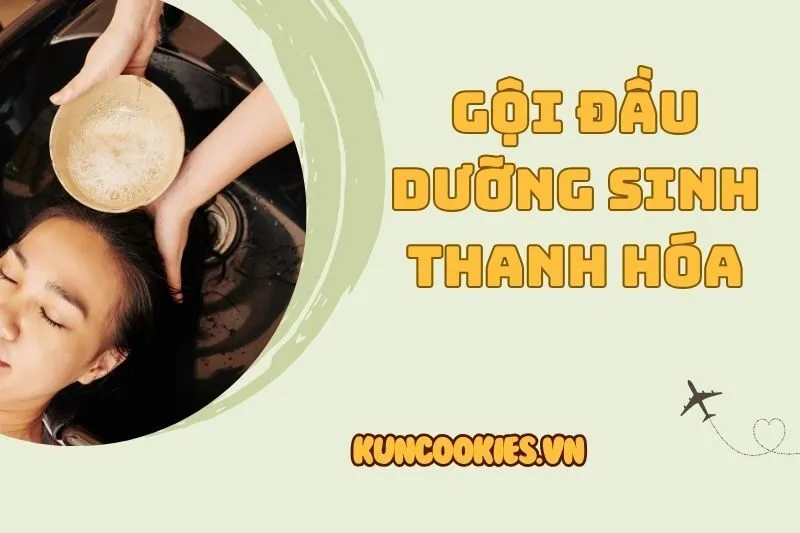 Gội đầu dưỡng sinh Thanh Hóa 2025 - Top 9 Spa thư giãn tốt nhất