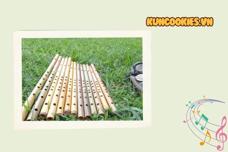 Nhạc cụ Hà Thanh